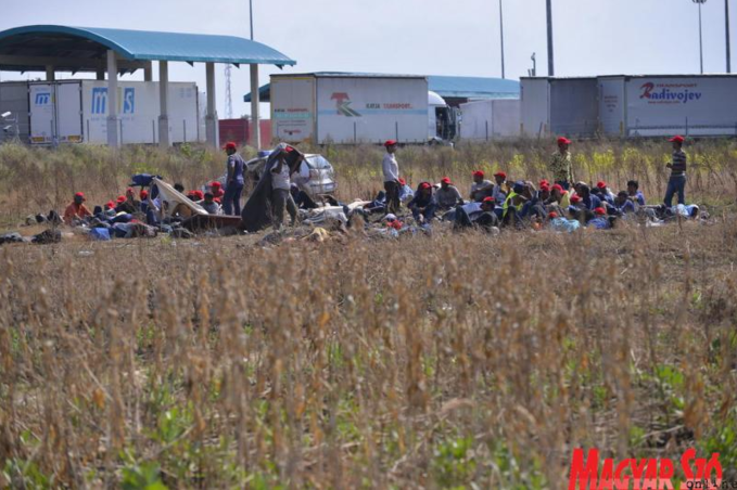 Menekültek Horgosnál (Molnár Edvárd felvétele)