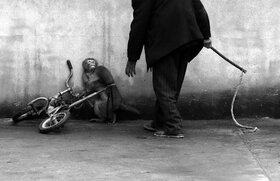 Természetfotó, egyedi kategóriában ez a kép lett kiemelt, amin épp egy cirkuszi majmot tanít be az oktatója. (Fotó: Yongzhi Chu / World Press Photo)