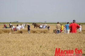 Dužijanca aratóverseny Györgyénben