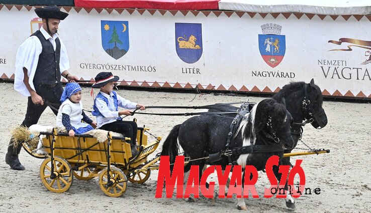 „Mig állni látszék az idő, / Bár a szekér szaladt.” (Ótos András felvétele)