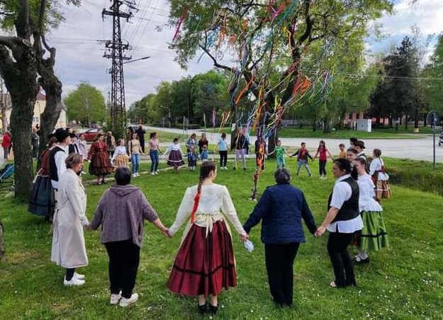 A felelevenített néphagyományok sorából a májusfaállítás sem maradhatott ki