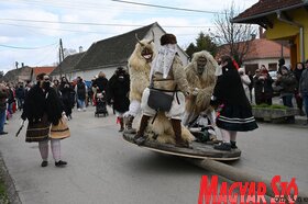 Busójárás farsang mohács