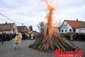 Busójárás farsang mohács