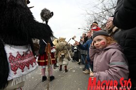 Busójárás farsang mohács