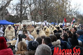 Busójárás farsang mohács