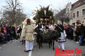 Busójárás farsang mohács