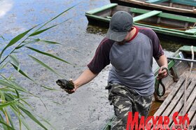 Hagyományörző és környezetvédelmi tábor Ludason