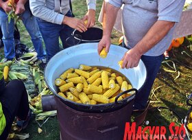 XIX. Kukoricafesztivál Magyarkanizsán