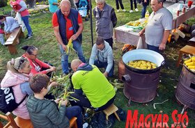 XIX. Kukoricafesztivál Magyarkanizsán