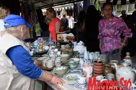 Megtartották az első városi bolhapiacot az újvidéki Temerini piacon