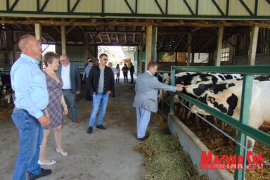 Jožef Đerman se bavi uzgojem goveda (Fotografija Hajnalke Vidač)