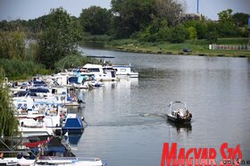 Szenttamásra érkezett a 14. Vajdaság Vizei regatta