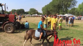 Tizenharmadik Parasztolimpia Topolyán