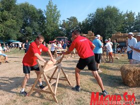 Tizenharmadik Parasztolimpia Topolyán