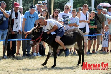 Pillanatkép a tavalyi szamárversenyről / Benedek Miklós archív