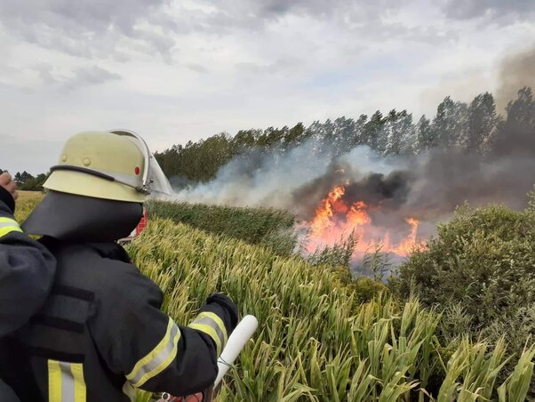 A bezdáni tűzoltók gyorsak és hatékonyak (Fotó: ÖTE Bezdán)