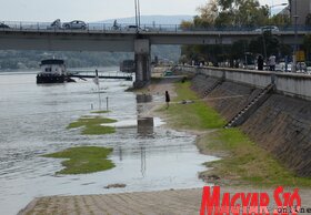 Folyamatosan emelkedik a Duna vízszintje Újvidéknél