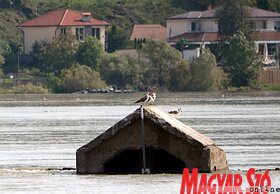 Folyamatosan emelkedik a Duna vízszintje Újvidéknél