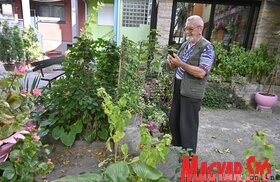 Tetőzik a Duna Újvidéknél 