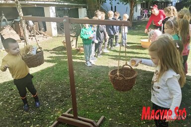 Vajon a lányok vagy a fiúk öntöttek több tengerit a kosarakba? (Turi Orsolya felvétele)