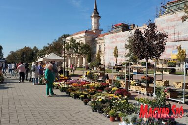 Virágpiac Óbecsén a város főterén