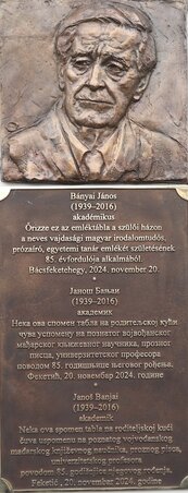 A frissen felavatott Bányai-emléktábla Bácsfeketehegyen / Lakatos János felvétele