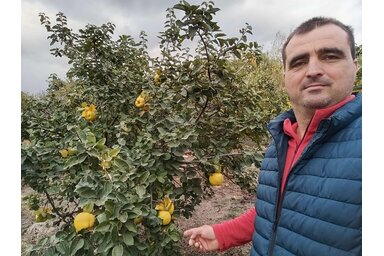 Fábrik Attila a gyümölcsösében (Fotó: Családi archívum) Fábrik Attila a gyümölcsösében (Fotó: Családi archívum)