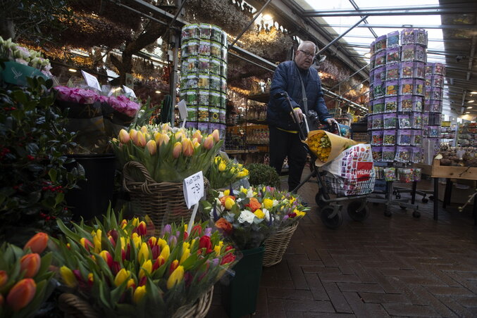 Az amsterdami virágpiacon most is pazar a kínálat, így tulipánból a legigényesebbje is találhat magának valót, vevő, bámészkodó azonban alig akad (Fotó: AP via Beta)