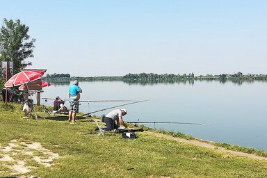 A szakértők szerint a tóbol fogott hal alkalmas a fogyasztásra