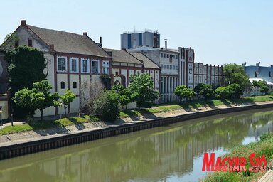 Azt ígérik, hogy megszabadul a szennyvíztől a Béga (Kecskés István felvétele)