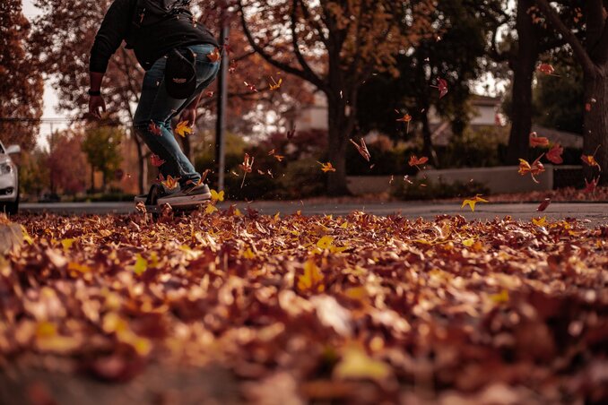 Ősz, levélhullás (Illusztráció/Pexels)