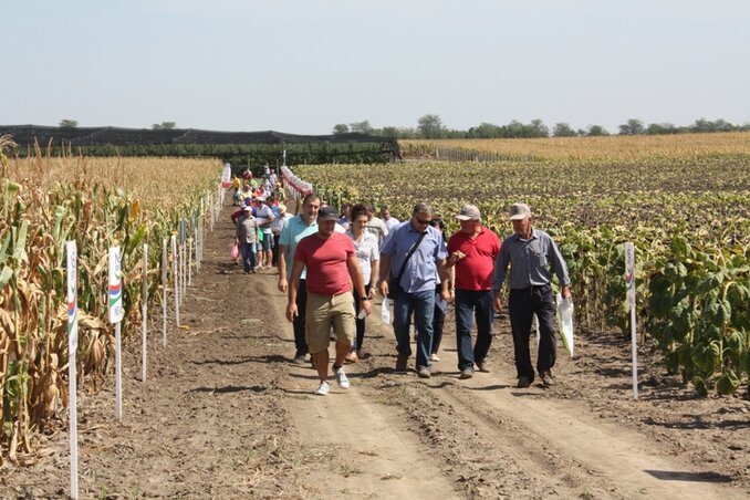 Az őszi vetéskultúrák napja a krivajai határban (Fotó: Kazinczy Paszterkó Diana)