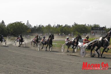 Az ügetőfutamok egyike (Csincsik Zsolt felvétele)