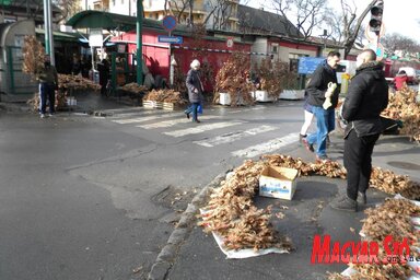 (Fotó: Benedek Miklós)