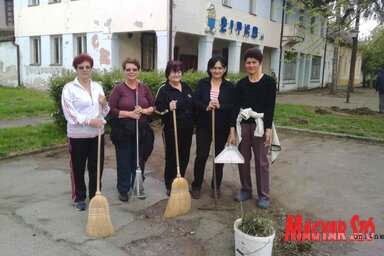 Takarítják a pacséri nyugdíjasok a falu központját (Kazinczy Paszterkó Diana felvétele)