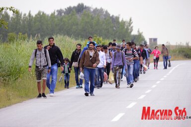 Többen panaszkodtak már arra, hogy a menekültek nem ismerik a közlekedési szabályokat
