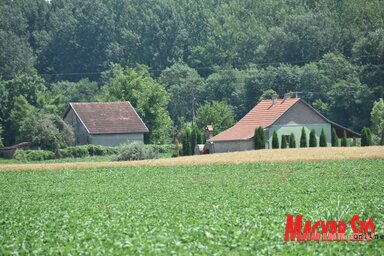 Felújított tanya, amely ma már hétvégi házként funkcionál (Gergely Árpád felvétele)