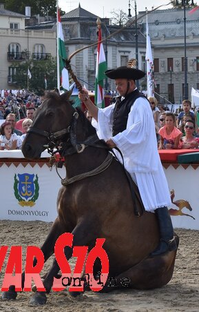 Egyszer egy német azt találta mondani, hogy a kutya ügyesebb, mint a ló, mert tud ülni. A magyar csikósok bebizonyították, hogy a ló is van ilyen okos (Fotó: Kiss Zoltán)