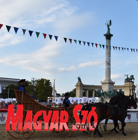 Minden kocsi őse a Kocsról származó, kocsi kocsi (Fotó: Kiss Zoltán)