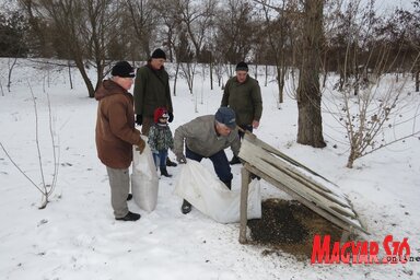 Madáretetés Moholon (Csincsik Zsolt)