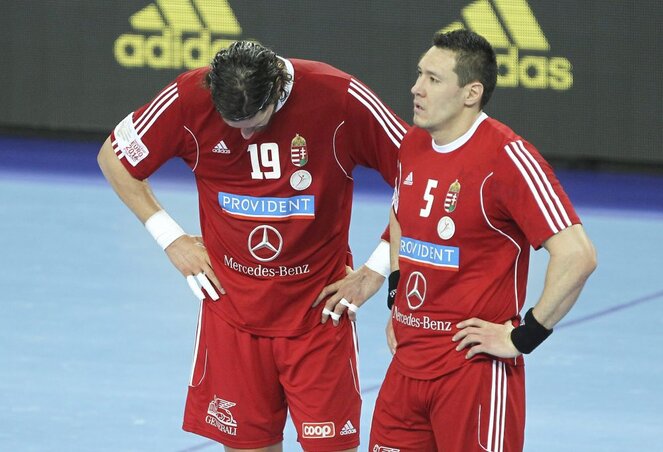 A kép magáért beszél: Nagy László és Schuch Timuzsin a svédek elleni mérkőzésen (fotó: MTI)