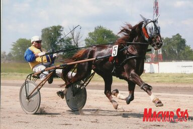 Maximus szépen futott, de nem nyert (Fehér Rózsa felvétele)