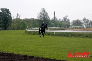 Davidović Dejan edzés közben a zobnaticai pályán (Benedek Miklós felvétele)