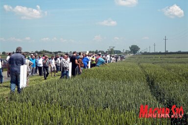 Fotó: Benedek Miklós