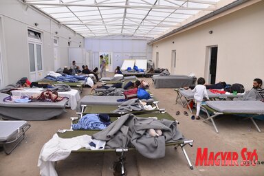 A menekülteket tábori ágyakon szállásolják el (Fotó: Molnár Edvárd)