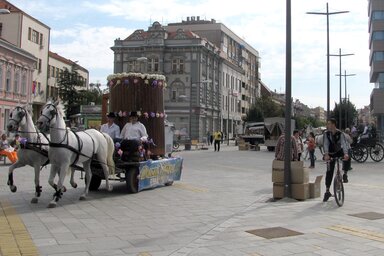 Fotó: Kecskés István