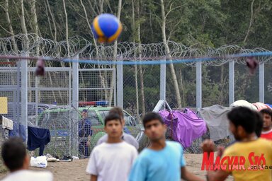 Magyarországnak sikerül kézben tartania a migránsáradatot (Molnár Edvárd illusztrációja)