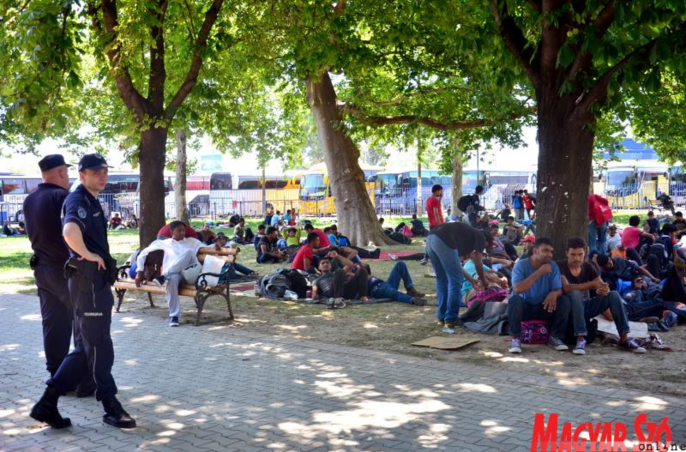 Menekültek a buszállomáshoz közeli belgrádi parkban (Dávid Csilla felvétele)