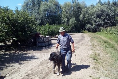 Szűcs István Drago nevű sárhegyi kutyájával járőrözik (Kabók Erika felvétele)