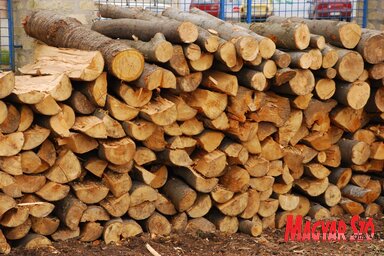 Pillanatnyilag 4800–5000 dinárba kerül egy köbméter fa a szabadkai fatelepeken (Fotó: Molnár Edvárd)